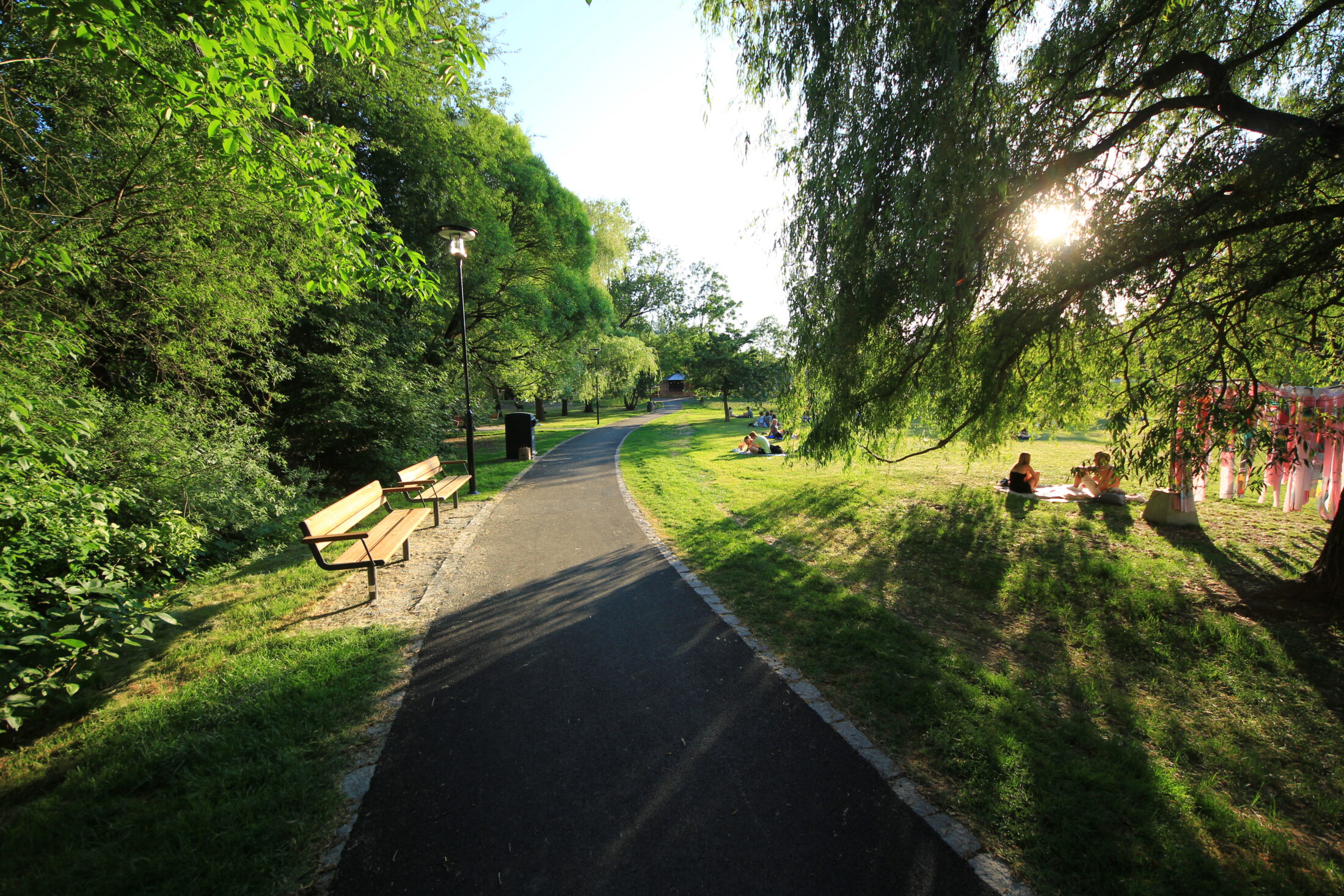 Härlig grönska i Svandammsparken, Midsommarkransen, Stockholm