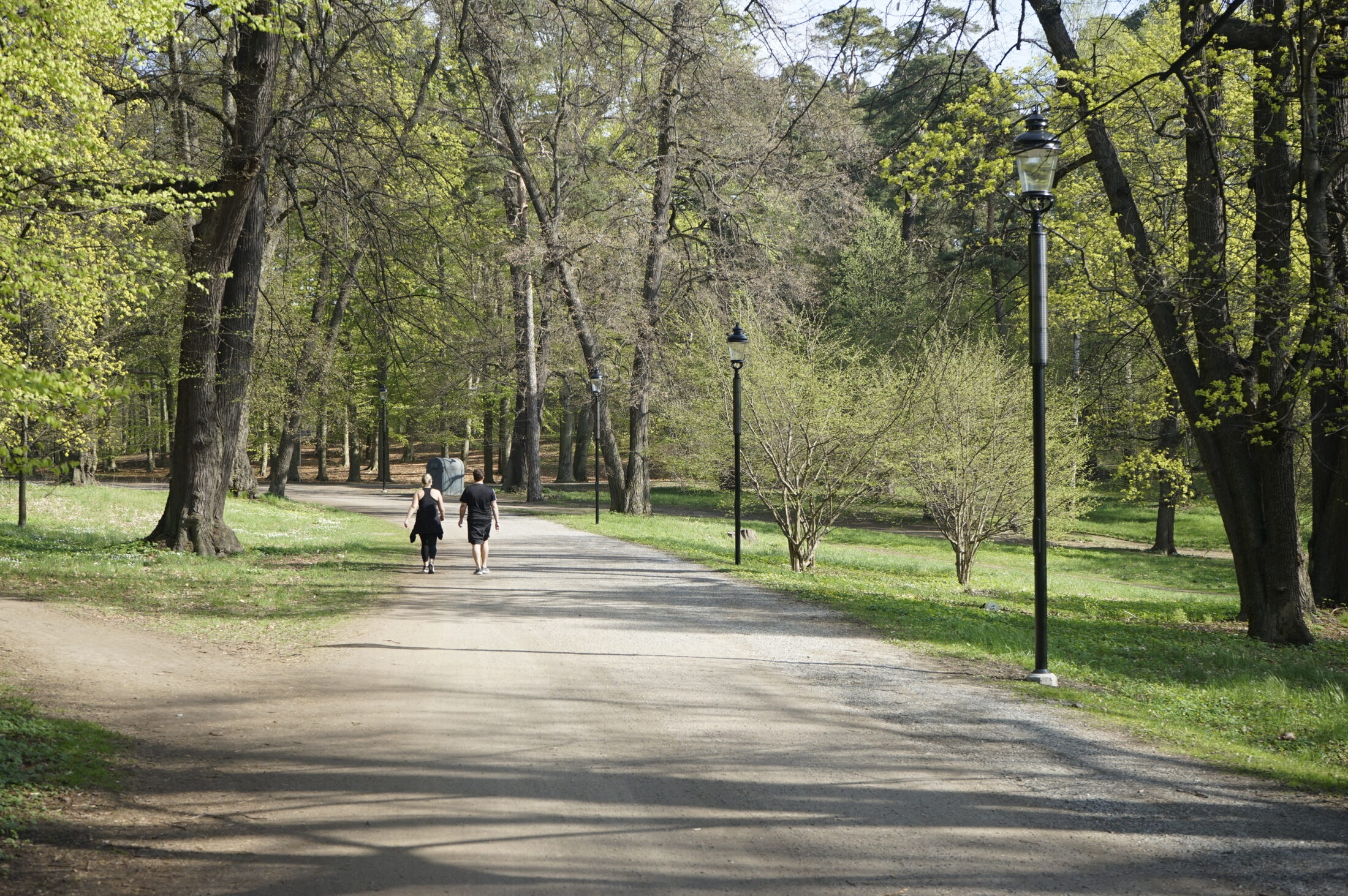 Hagaparken, pilotprojekt med solcellsdrivna parklyktor