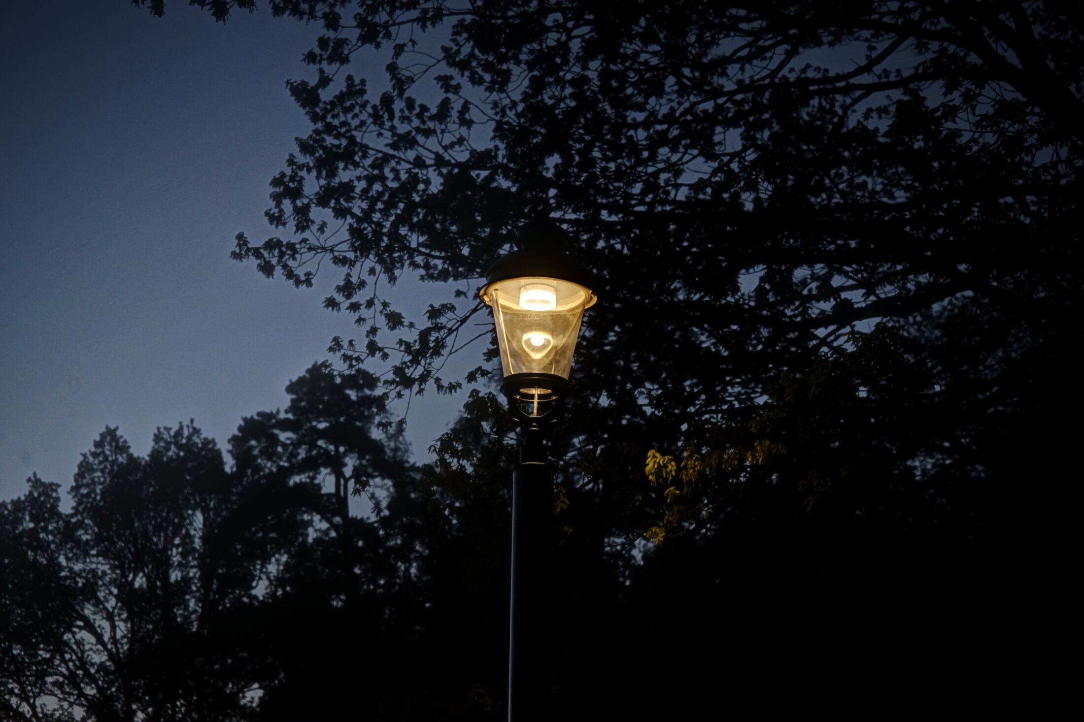 Hagaparken, pilotprojekt med solcellsdrivna parklyktor