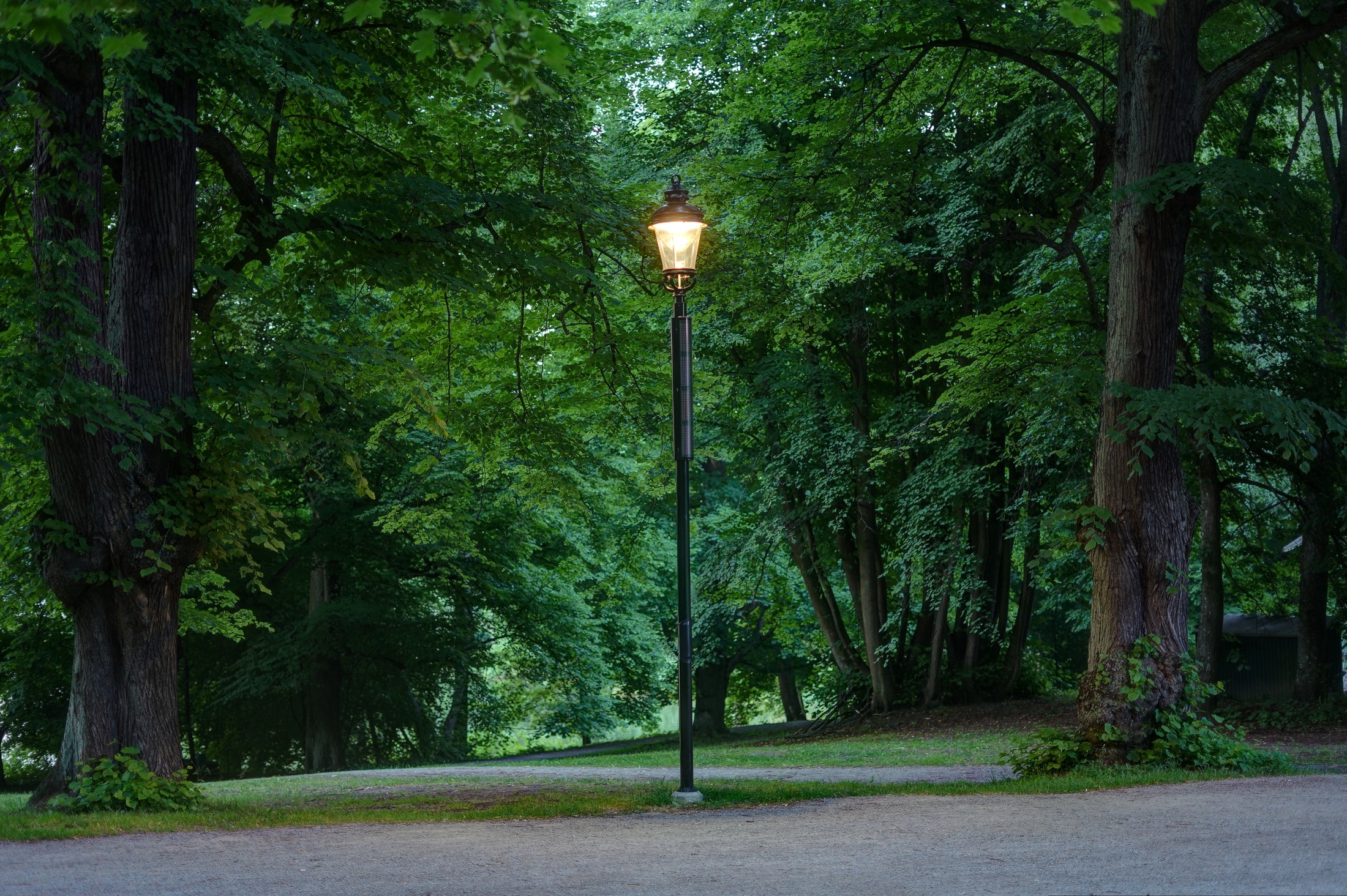 Hagaparken ljusdesign, parklyktor. Foto Nicolas Philip