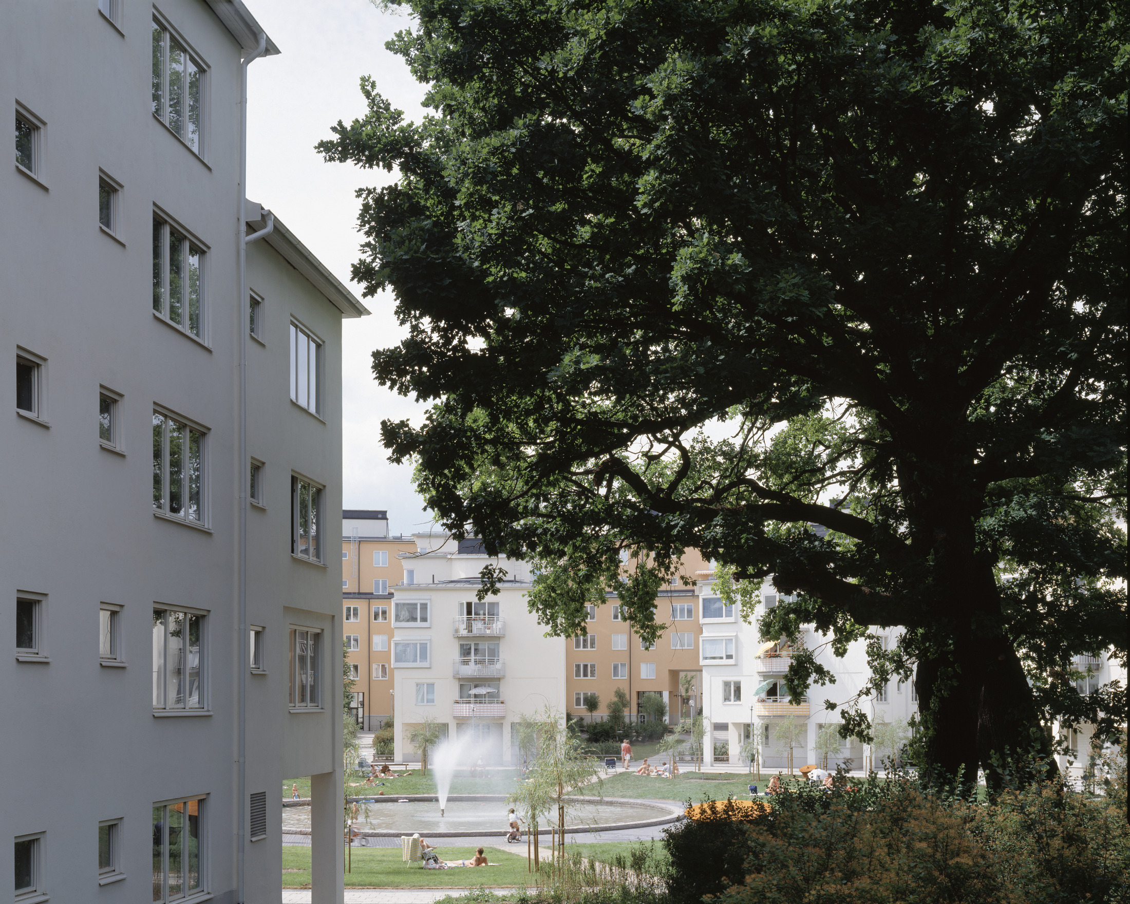 Starrbäcksängen, foto Åke E:son Lindman