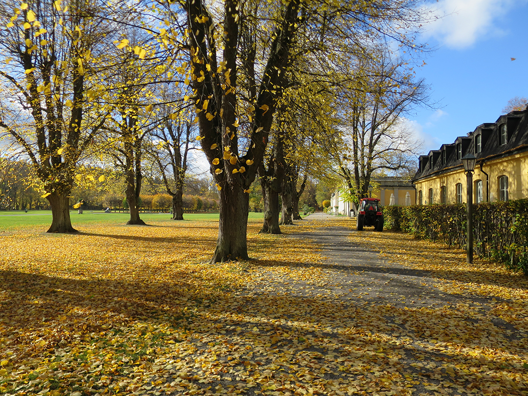 Ulriksdals slottspark, foto från restaureringsplanen