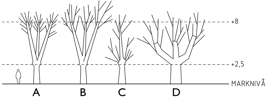 Ulriksdals slottspark, Schematisk morfologi, Slottsallén
