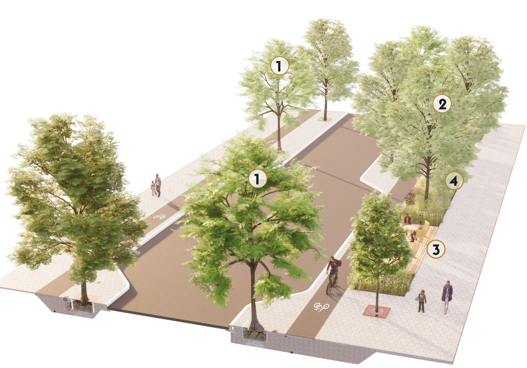 Princiillustration gatugrönska, Bällsta hamn, Nyréns