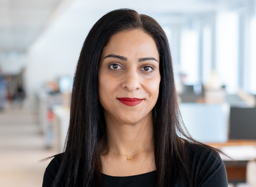 Farzaneh Farkish
